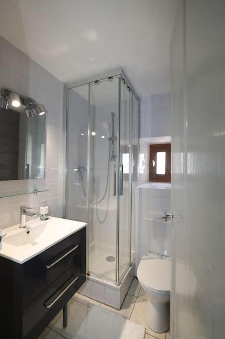 Apartmán « Grand Verger » - Parking Gratuit Chambéry Exteriér fotografie